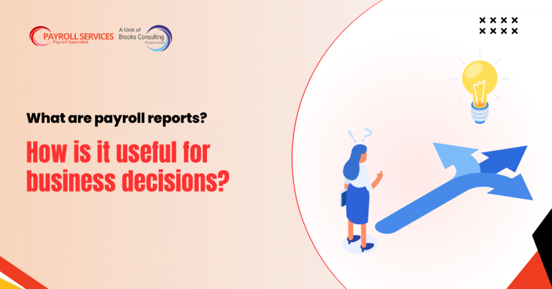 What are payroll reports? How is it useful for business decisions?