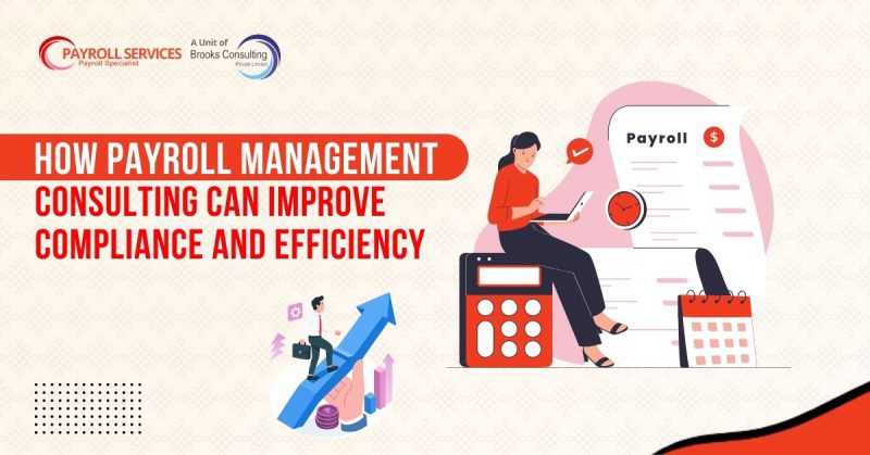 How Payroll Management Consulting Can Improve Compliance and Efficiency